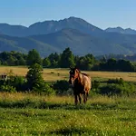 I Z Widokiem Na Tatry - U Magdy Zakopane