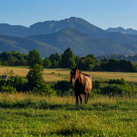 דירה I Z Widokiem Na Tatry - U Magdy *