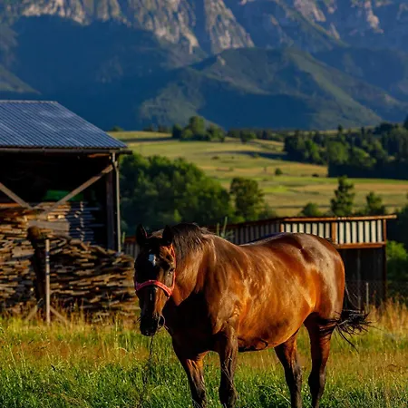 דירה I Z Widokiem Na Tatry - U Magdy *