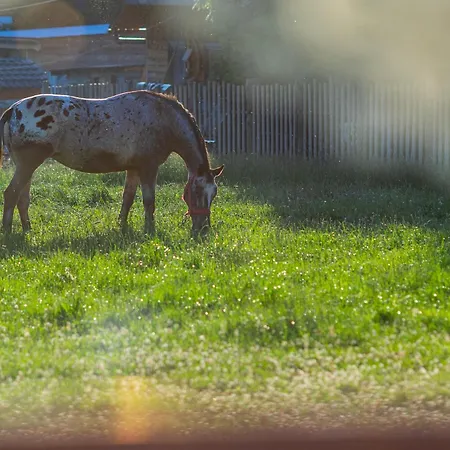 I Z Widokiem Na Tatry - U Magdy * Zakopane